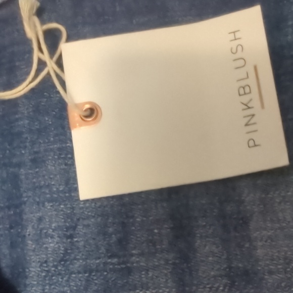 PINKBLUSH Distressed Crochet Trim Denim Shorts ~ NWT - Picture 9 of 14